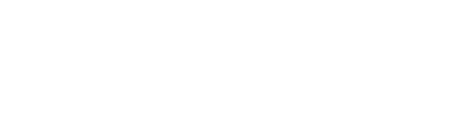 Nesterra Logo